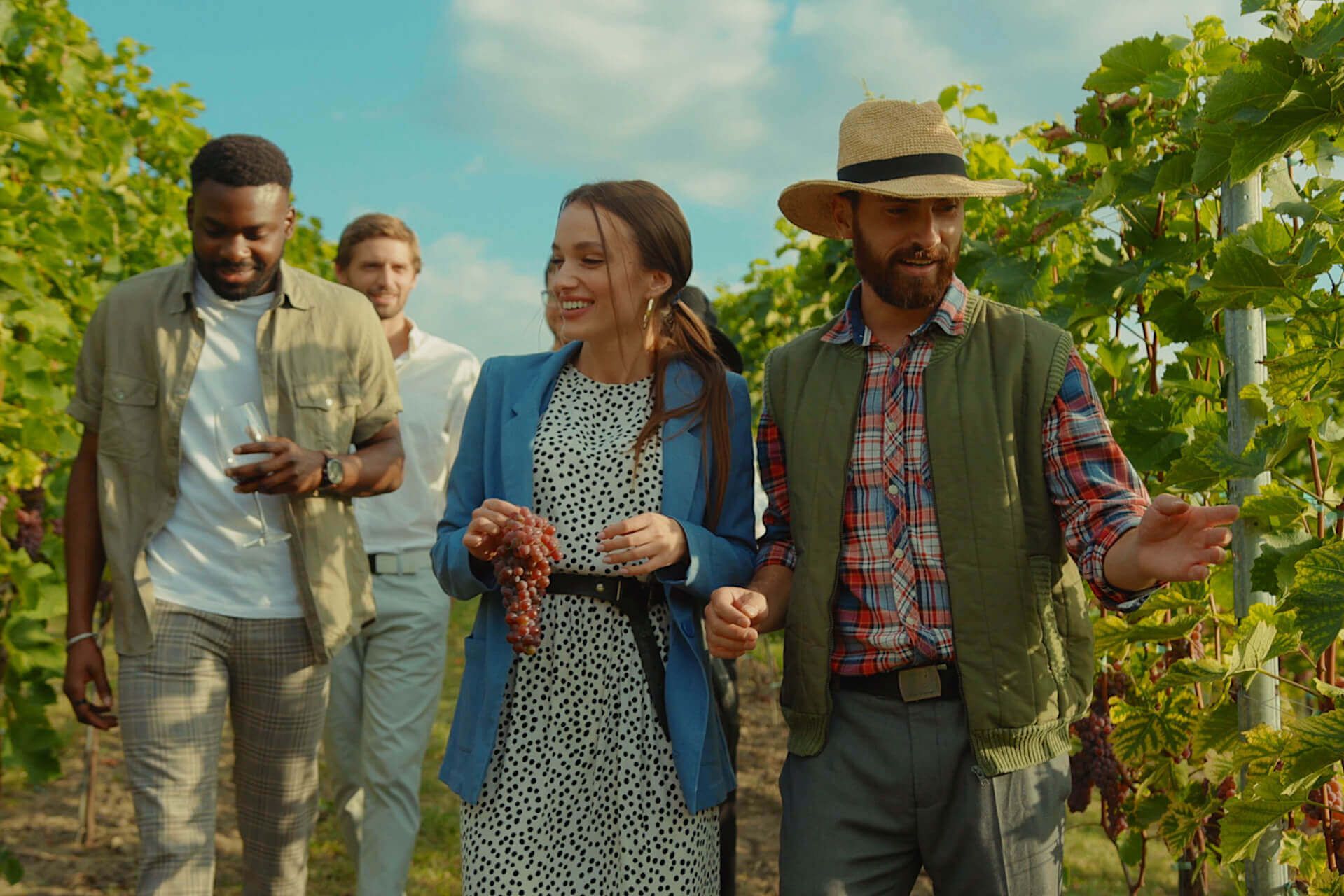 a group of people walking through a vineyard