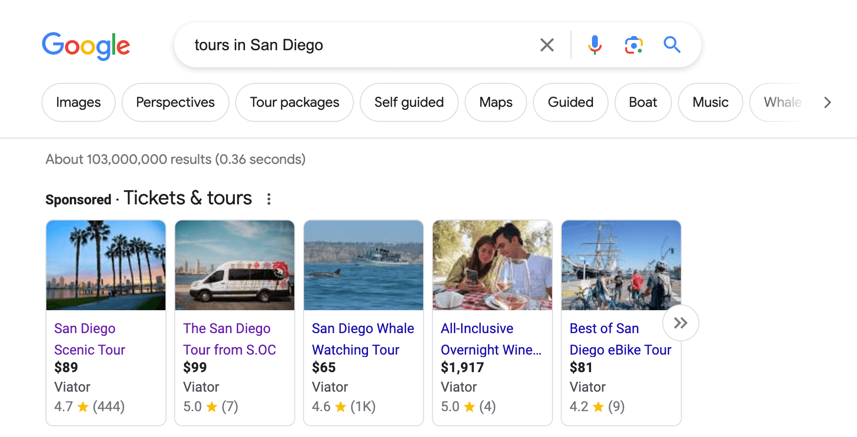 Google search example for tours in San Diego