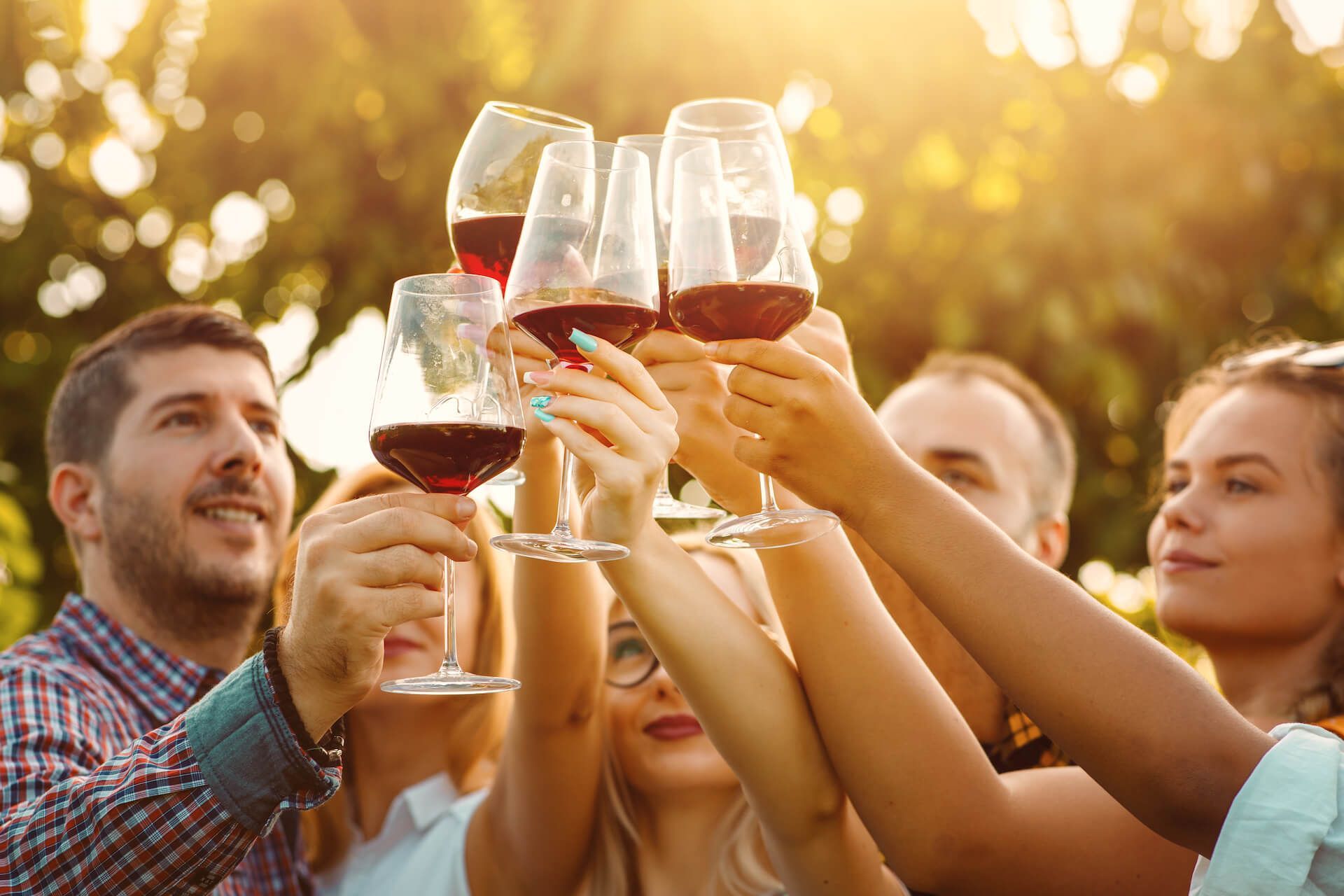 A group of people are toasting with wine glasses.