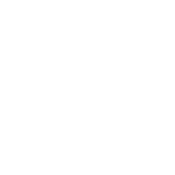 Icona Esperienza e professionalità