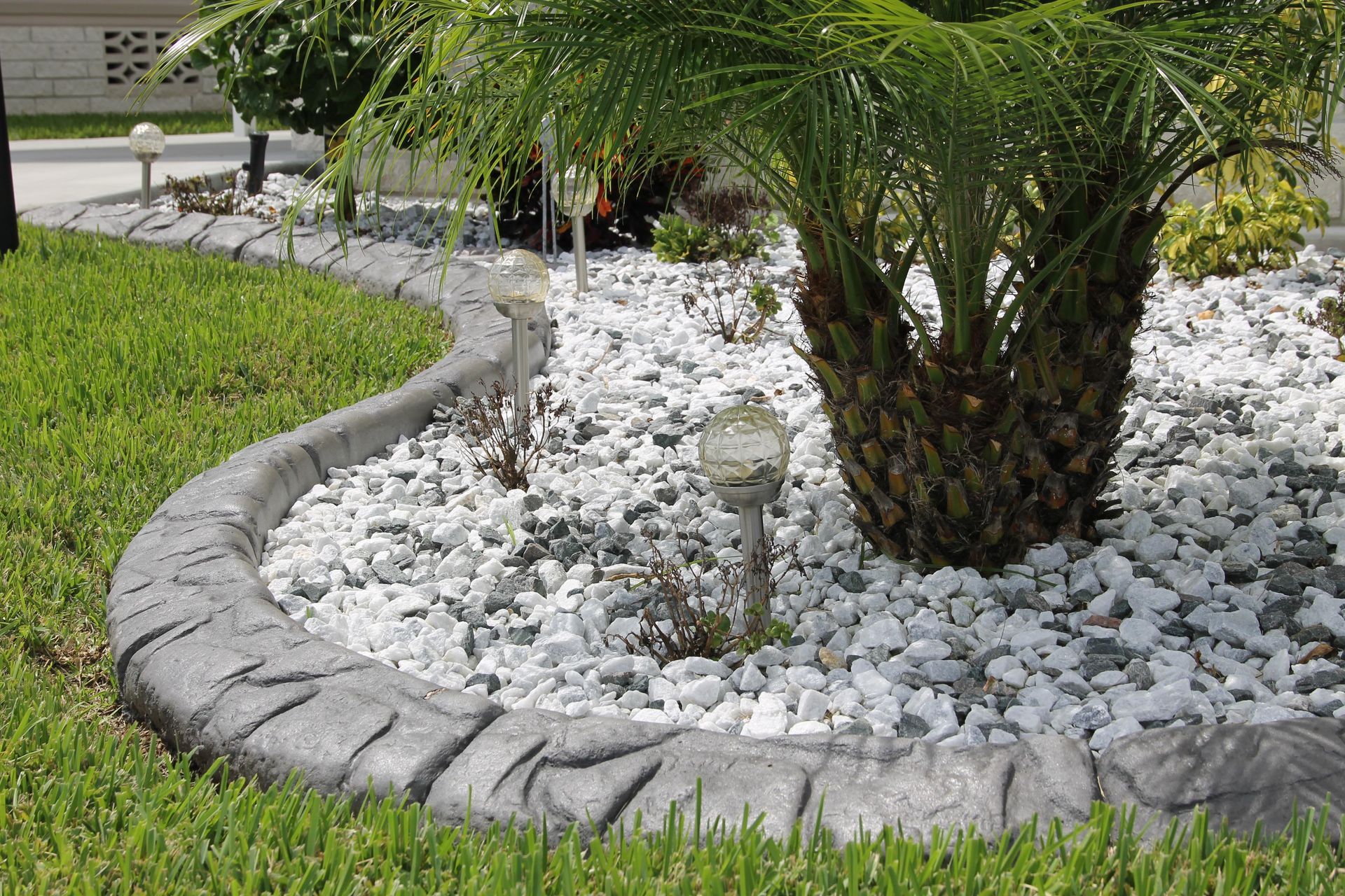 A palm tree is surrounded by rocks and grass in a garden.