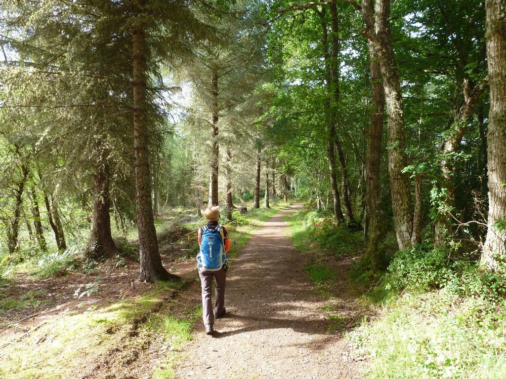 walking