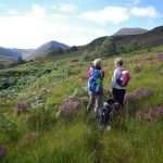 Two hikers with backpacks and a dog on a grassy hill with purple flowers, mountains in the distance.