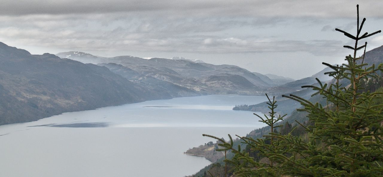 A misty mountain lake scene with evergreens in the foreground and gray skies overhead.