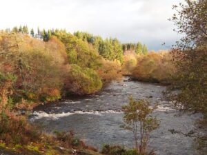 River flowing through autumn foliage, bordered by a coniferous forest, under a cloudy sky.