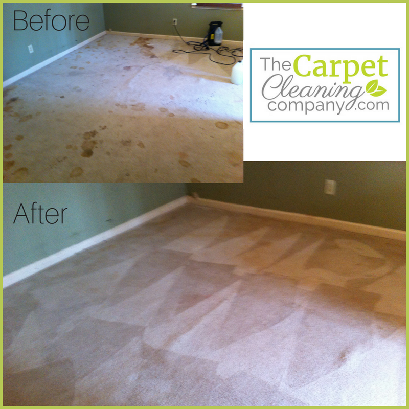 clean carpet before and after