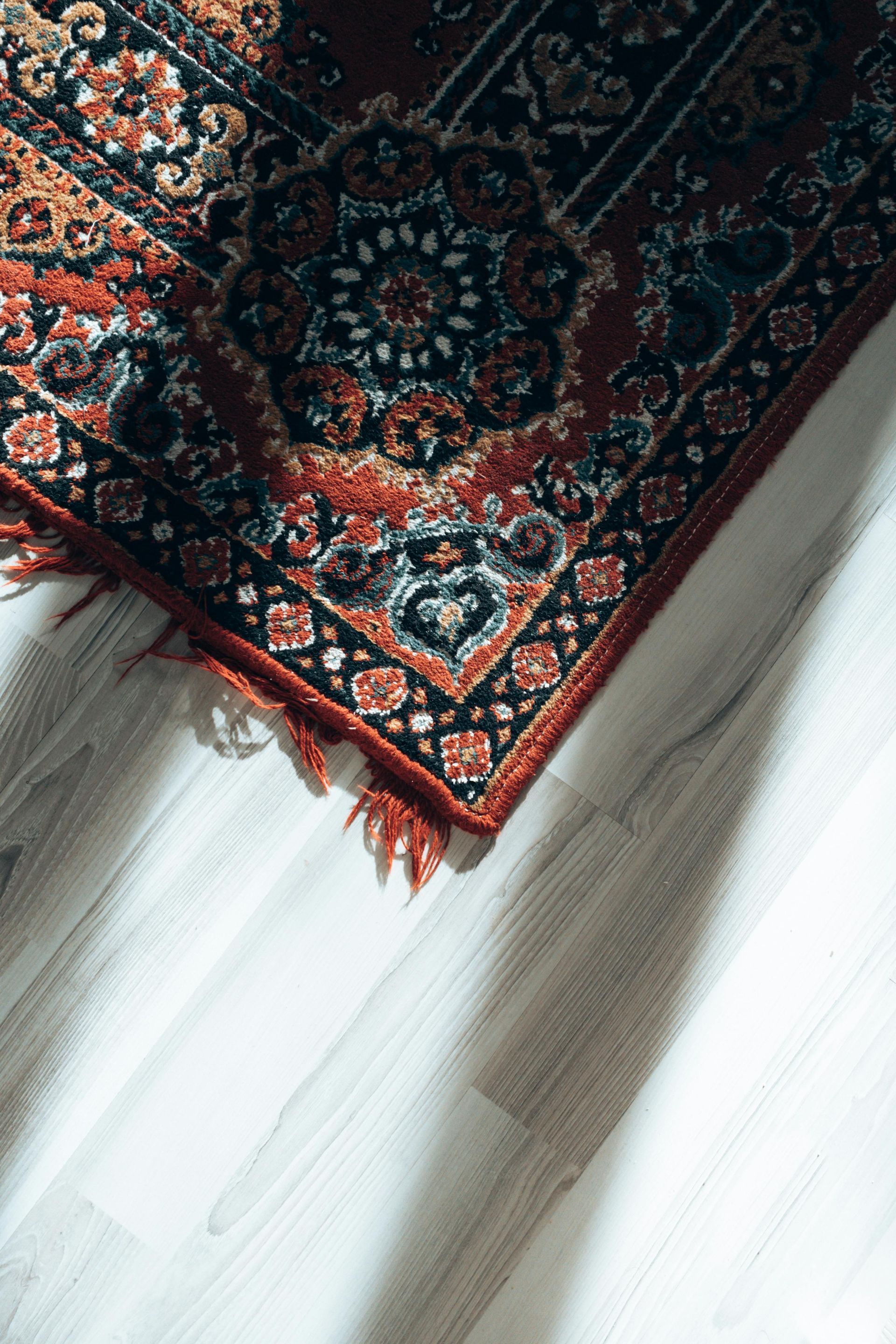 Rug pet stains and odors