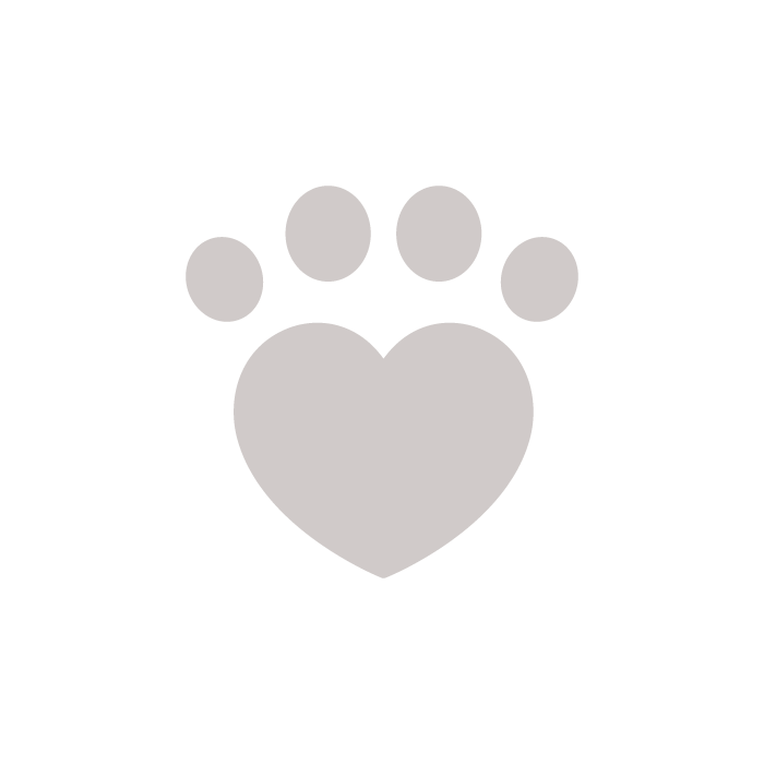 Paw icon