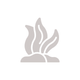 Seaweed icon