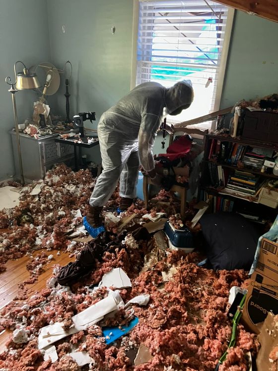 Person in a room covered in insulation debris, working near a window. Cluttered interior with shelves.