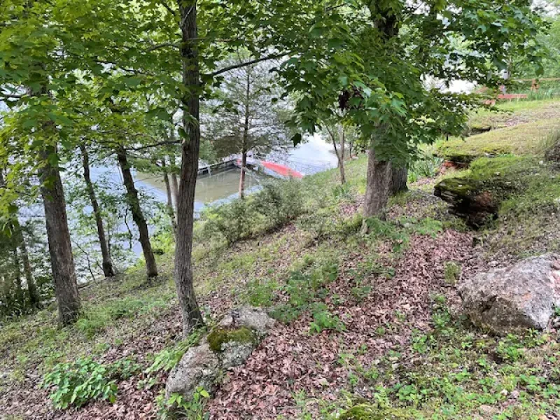 A kayak is sitting on the shore of a lake surrounded by trees.