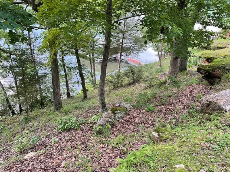 A kayak is sitting on the shore of a lake surrounded by trees.