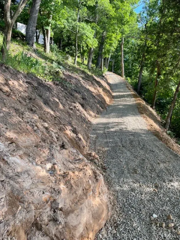 A dirt road going up a hill surrounded by trees.