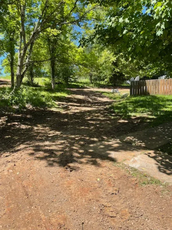 A dirt road surrounded by trees and grass on a sunny day.