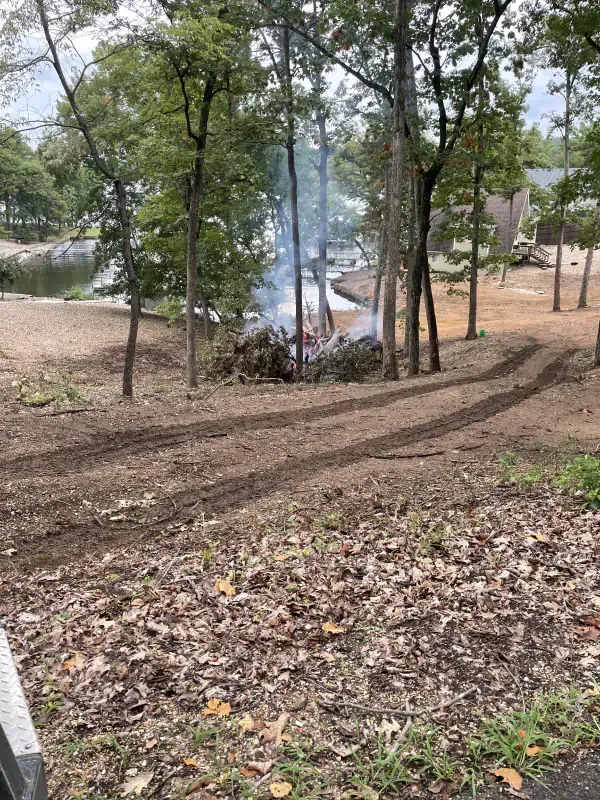 A dirt road going through a forest with trees and leaves on the ground.