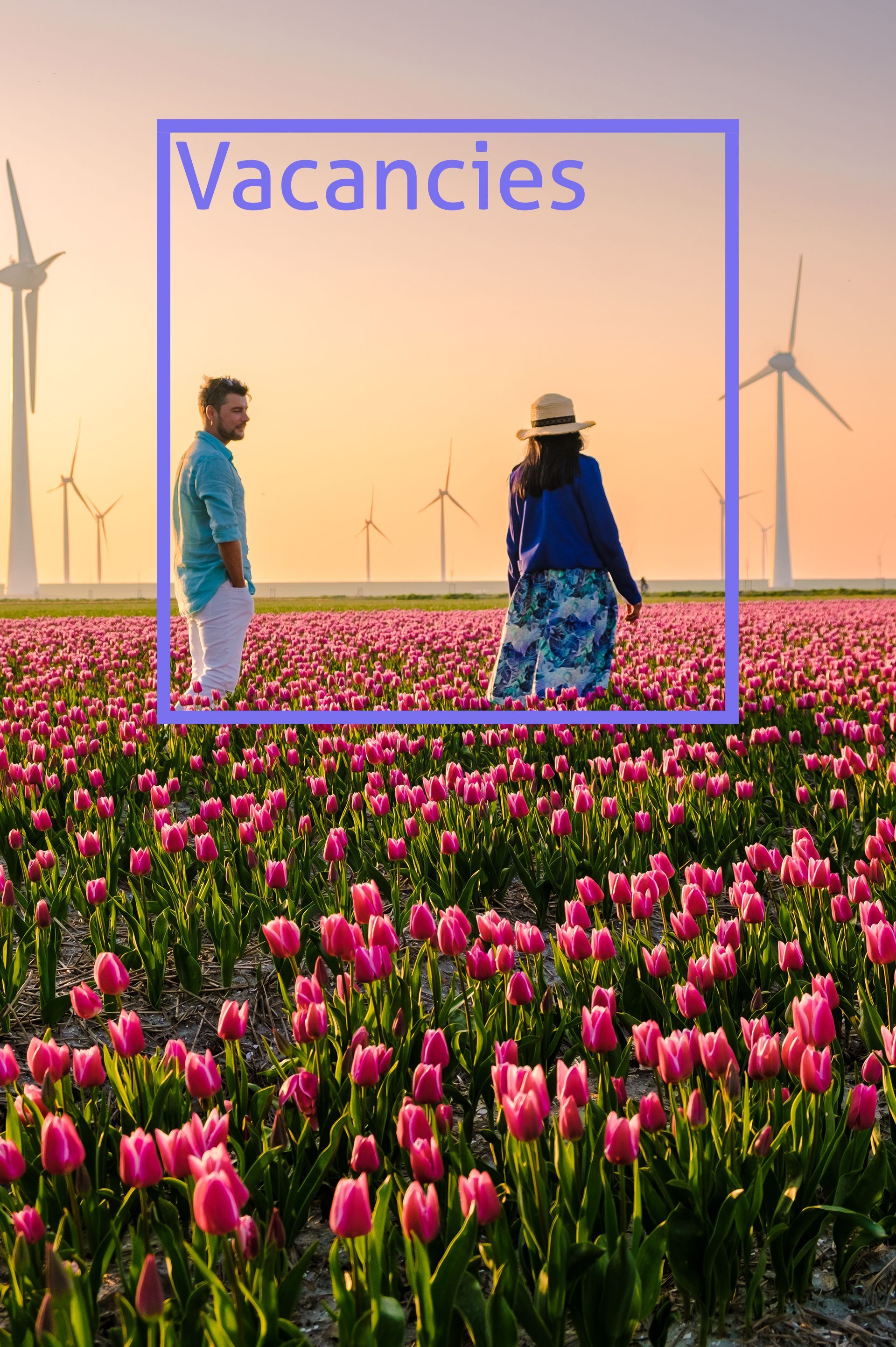 Klik hier voor de Nederlandse vacatures