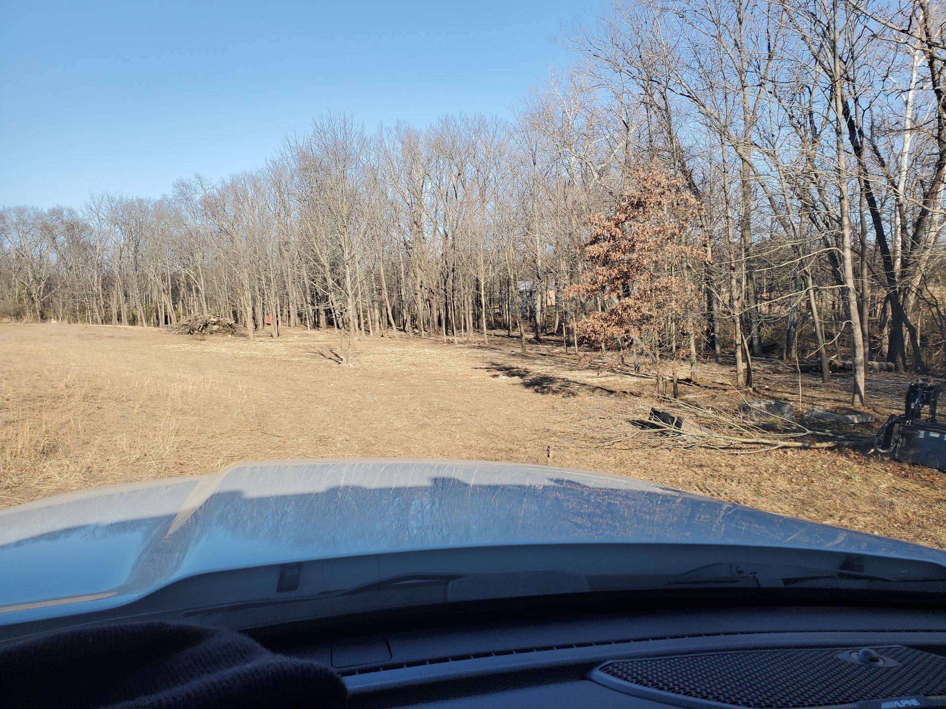 View from a vehicle's windshield towards a field bordered by a leafless forest under a blue sky.