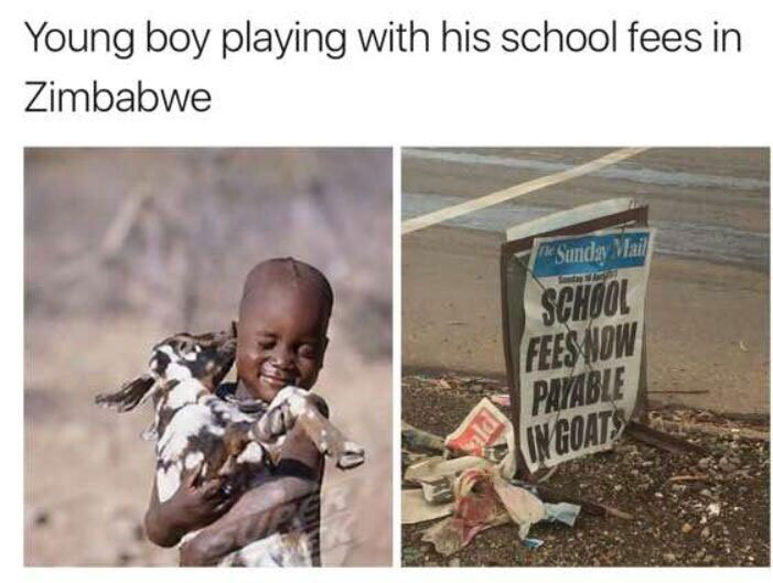 A young boy is playing with his school fees in zimbabwe
