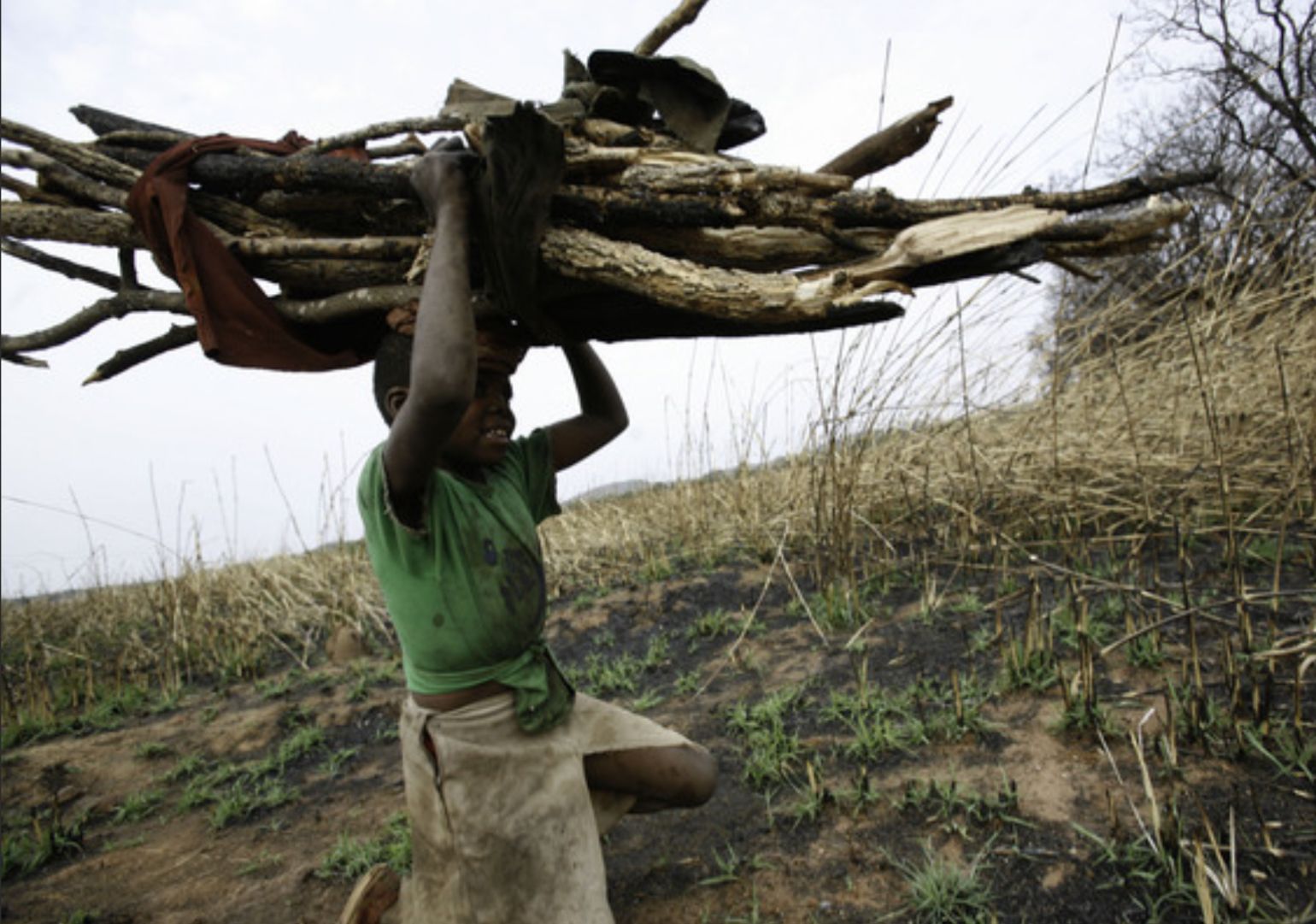 Person carrying large bundle of firewood on their head outdoors. Green shirt, beige skirt.