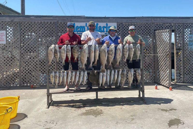 A group of men are standing next to a rack of fish.