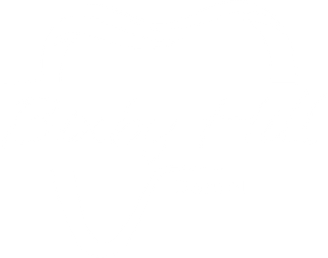 A white background with a few lines on it