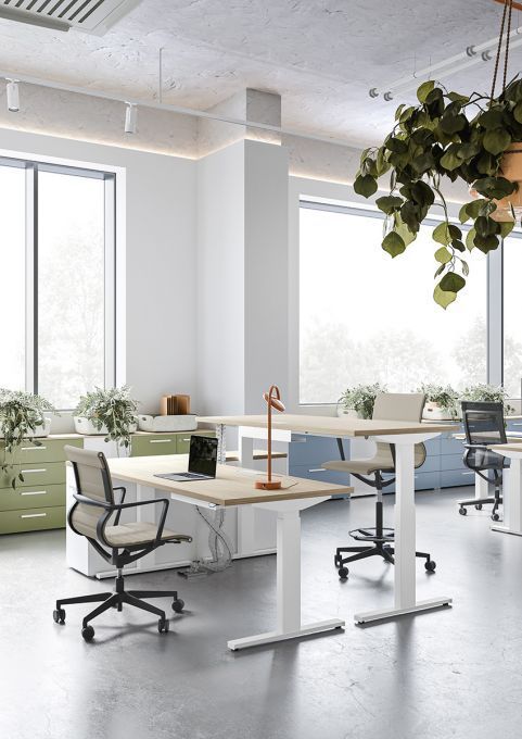 Stanza bianca con porta, una sedia gialla e una pianta verde in vaso.