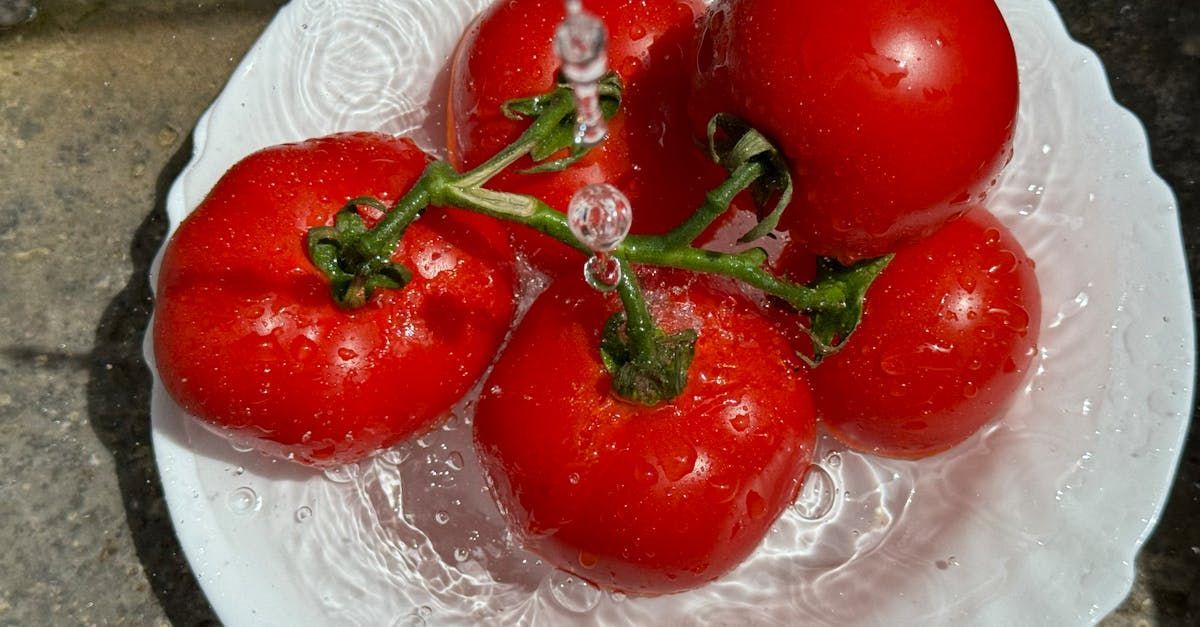 A white plate topped with tomatoes being washed under water.