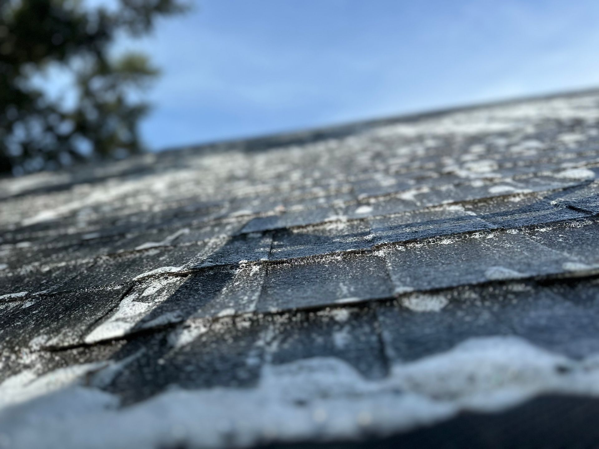 Extreme close up shot of roof — Orlando, FL — Power House Wash