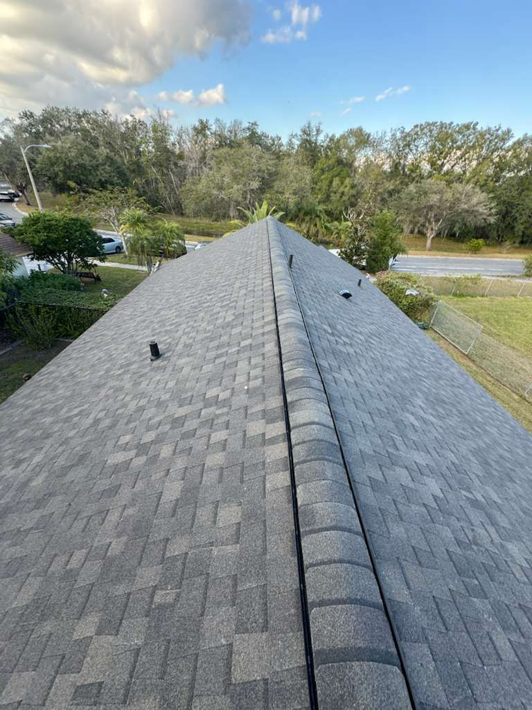 Residential shingle roof in Central Florida viewed from the ridge, highlighting proper alignment and drainage