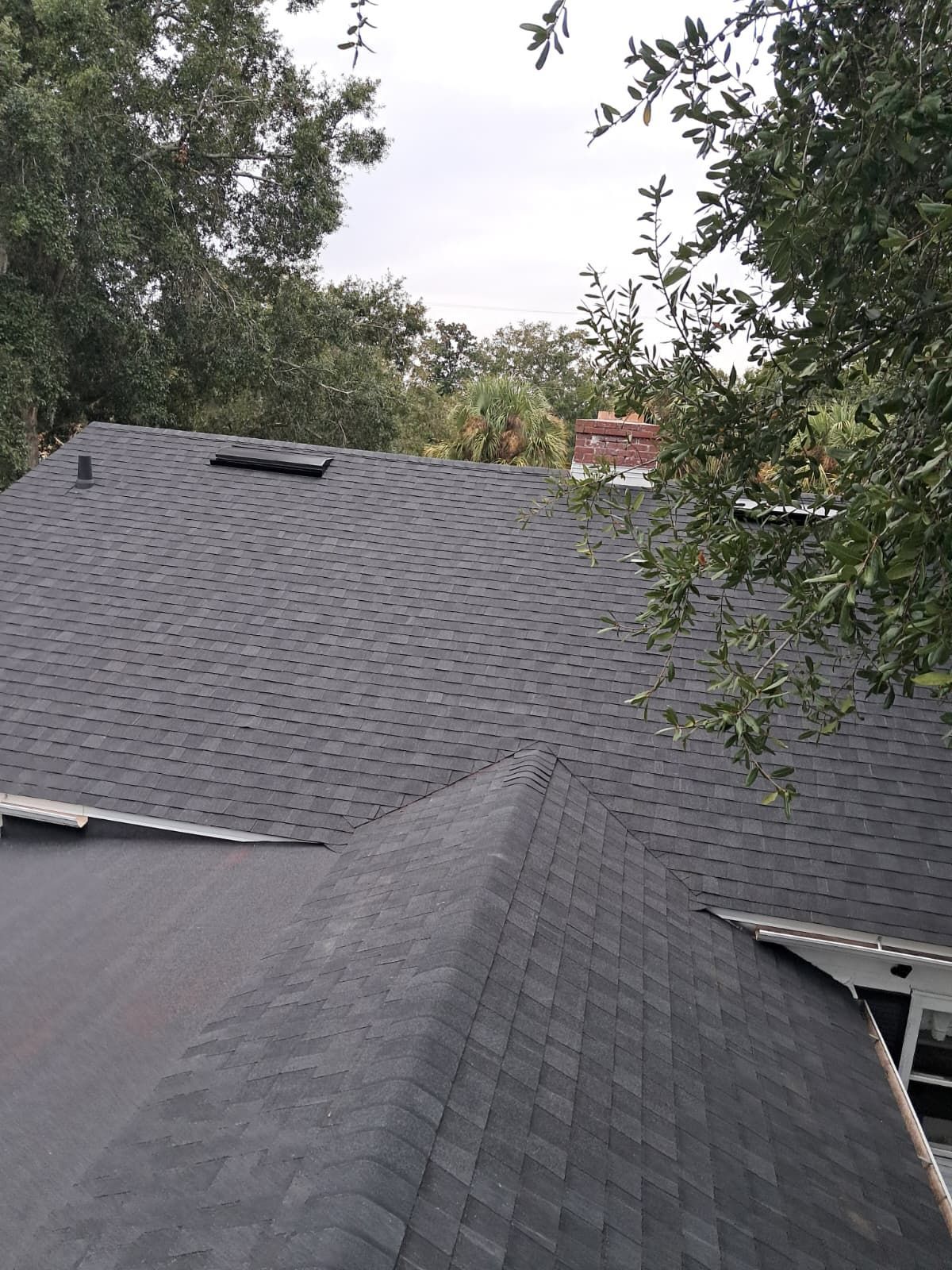 Residential property in Casselberry Florida with newly installed shingle roof surrounded by trees after replacement project.