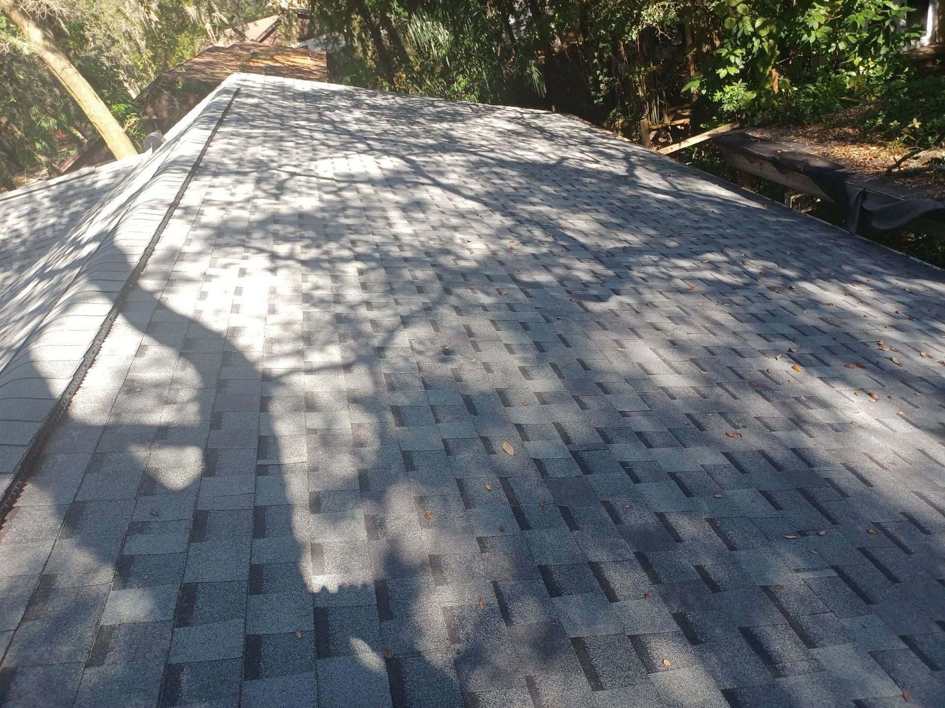 Shingle roof installation in Florida – residential asphalt shingle roofing project surrounded by trees, detailed workmanship by local roofing contractors.