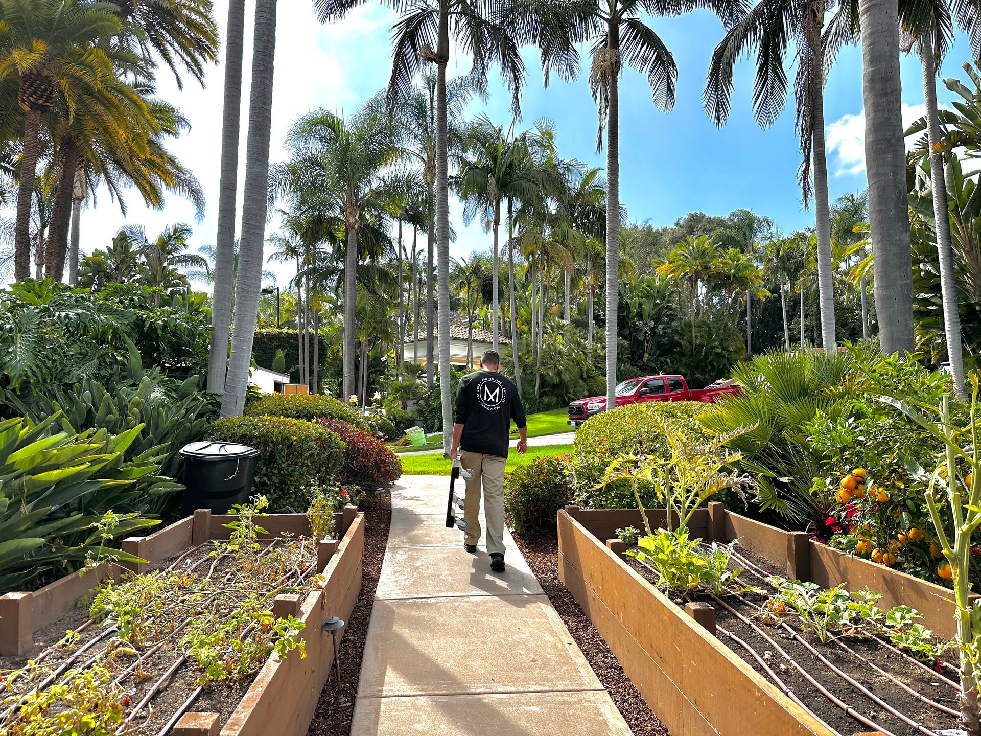 A man is walking down a sidewalk in a garden surrounded by palm trees.