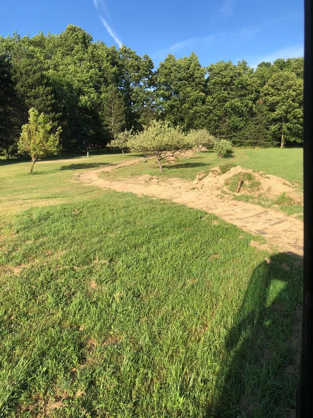 A grassy field with trees in the background and a dirt path going through it.