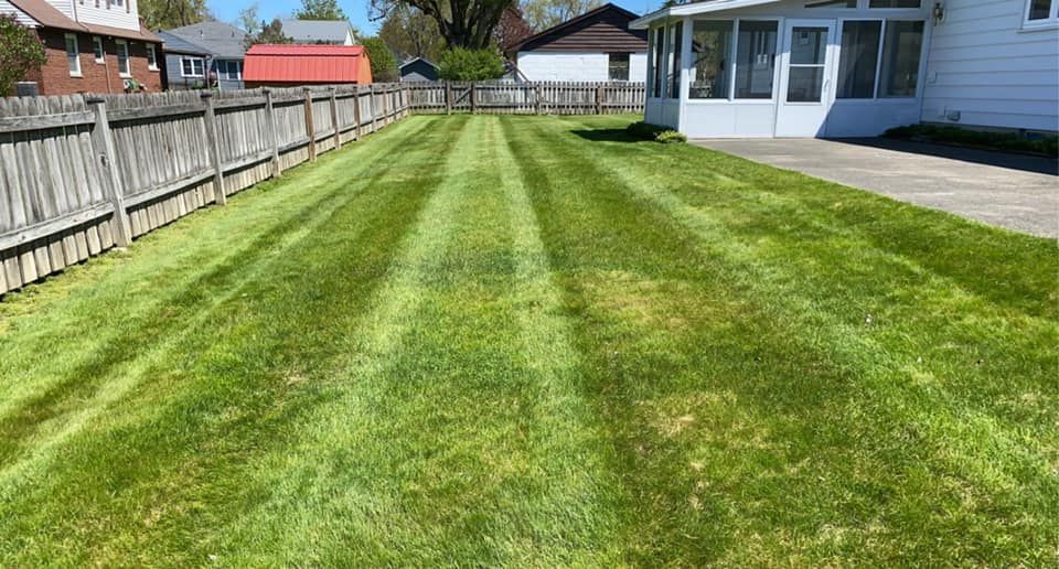 Lawn with striped mowing pattern, between a fence and a white house.