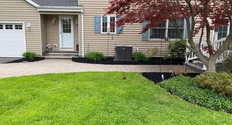 A house with a large lawn and a driveway in front of it.