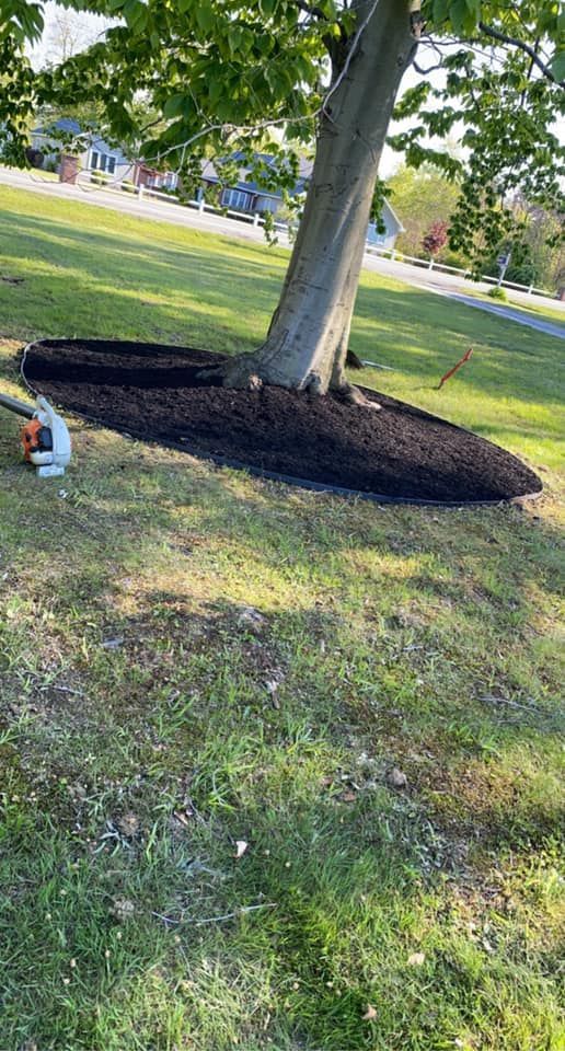 A lawn mower is sitting in the grass next to a tree.