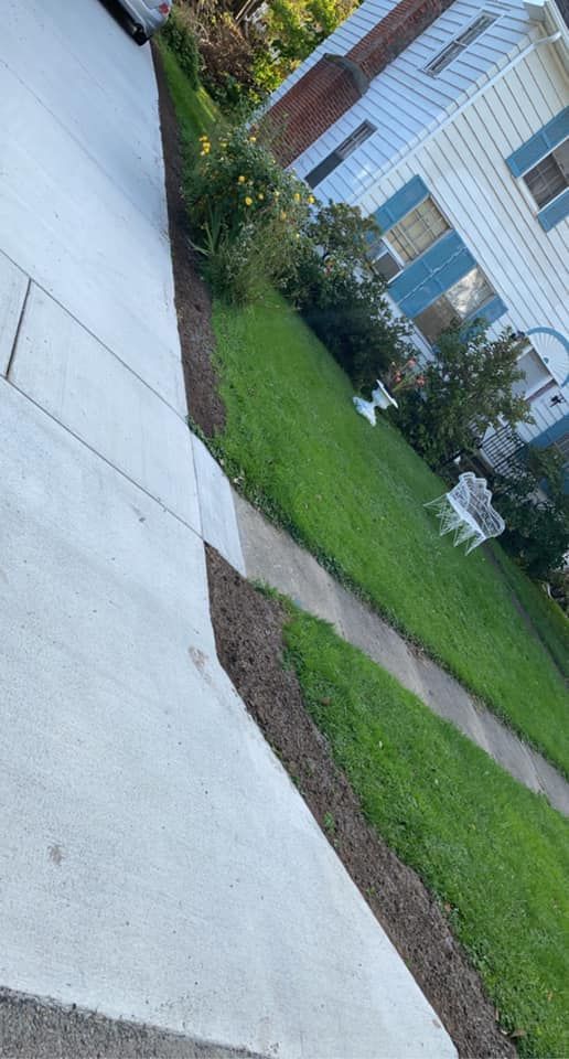 A dog is walking down a sidewalk in front of a house.