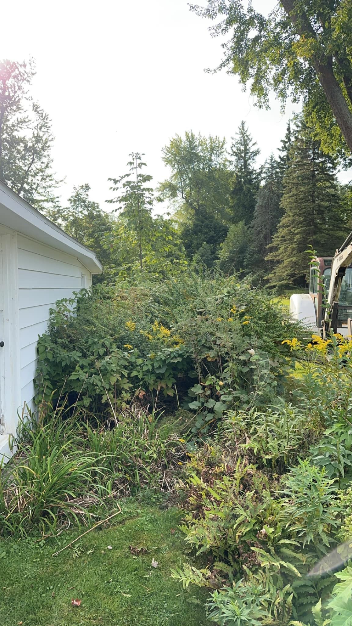A white garage is surrounded by lots of plants and trees.