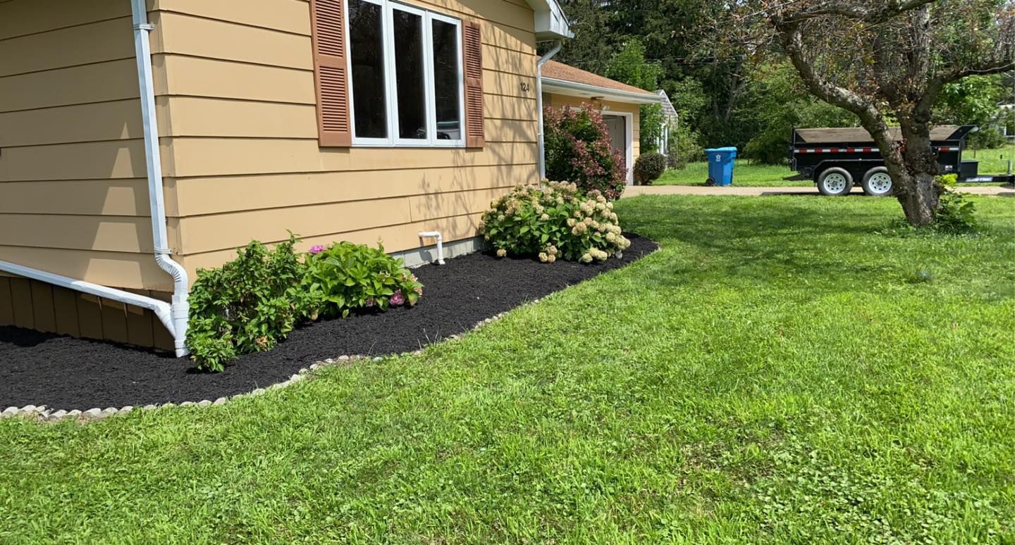 A house with a lot of grass and a dumpster in front of it.