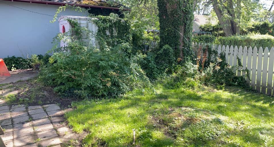 There is a white picket fence in the backyard of a house.