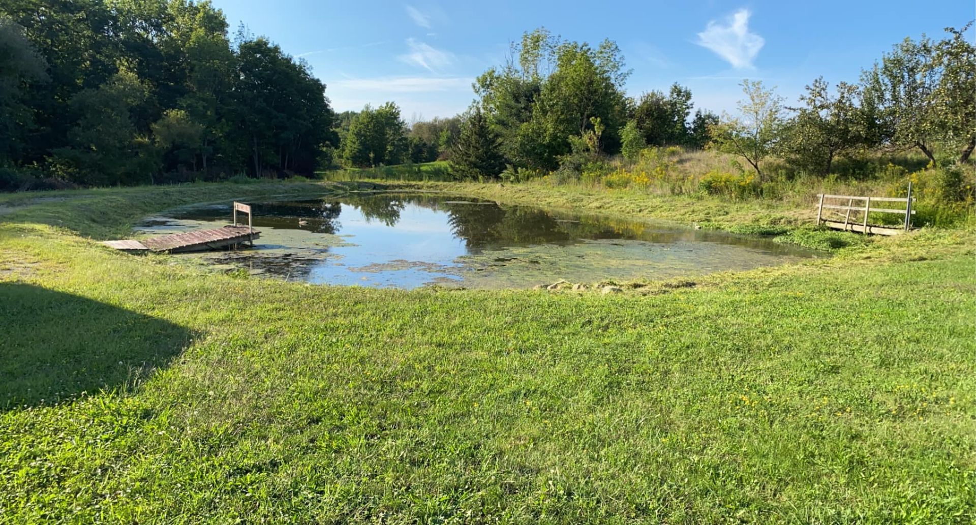 There is a small pond in the middle of a grassy field.