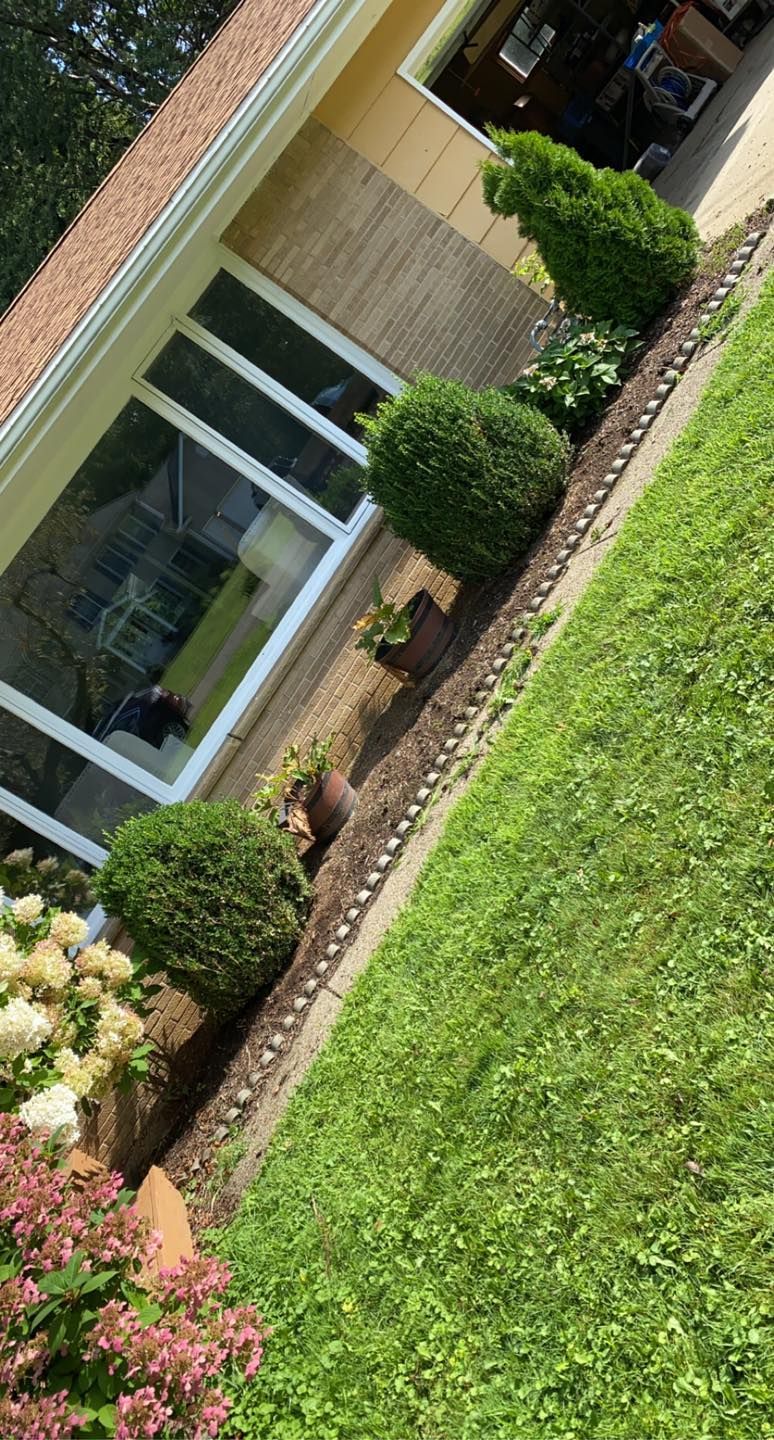 An aerial view of a lush green yard with a house in the background.