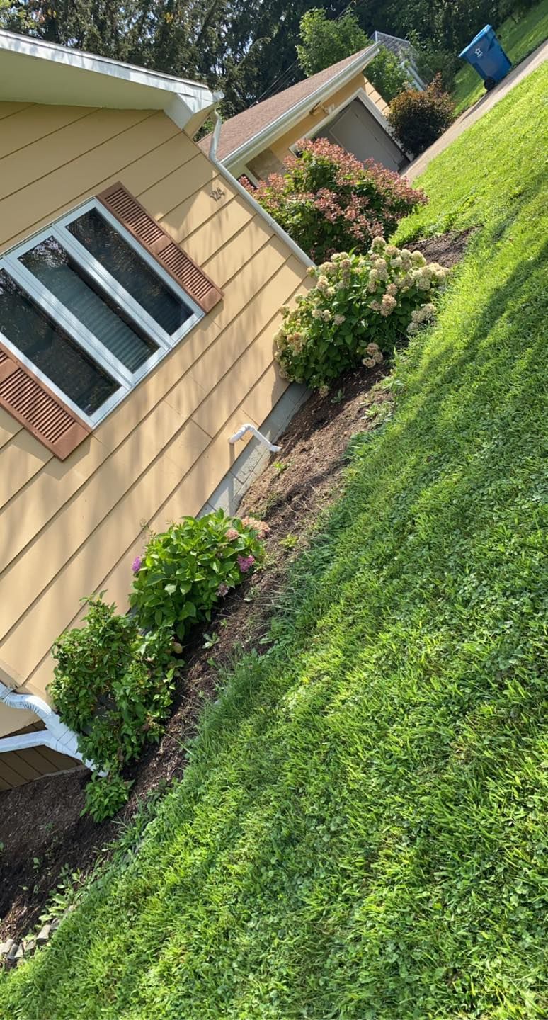 A house with a lot of grass in front of it.