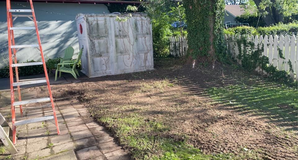 A ladder is sitting in the middle of a backyard next to a shed.