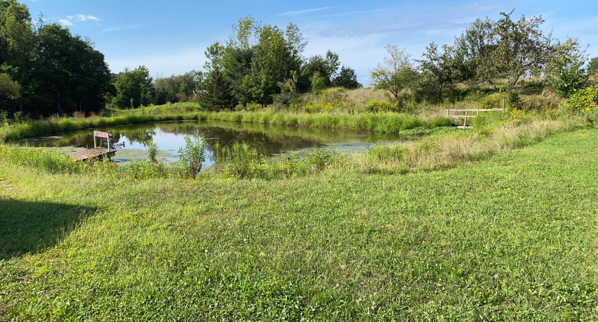 There is a small pond in the middle of a grassy field.