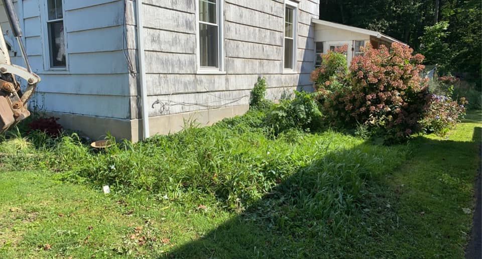 A white house with a lot of weeds in front of it.