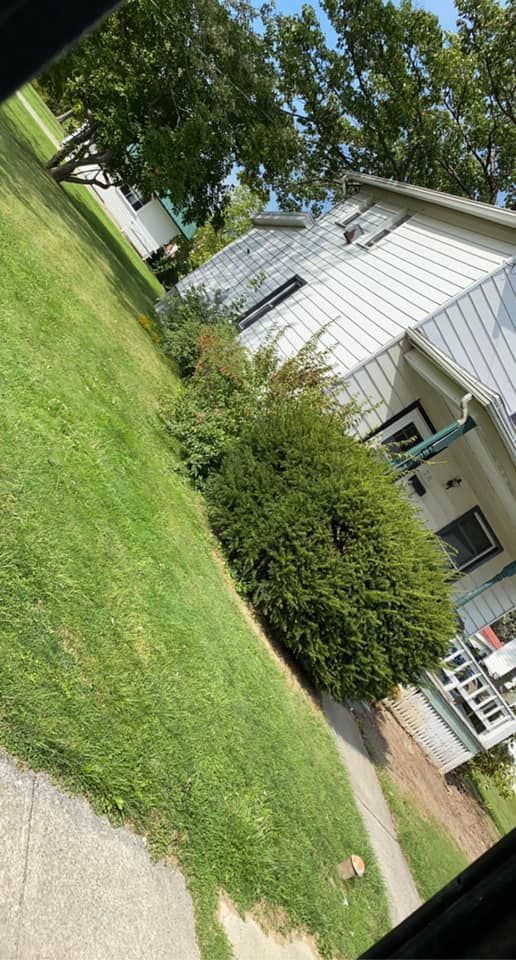 A white house is sitting on top of a lush green lawn next to a sidewalk.