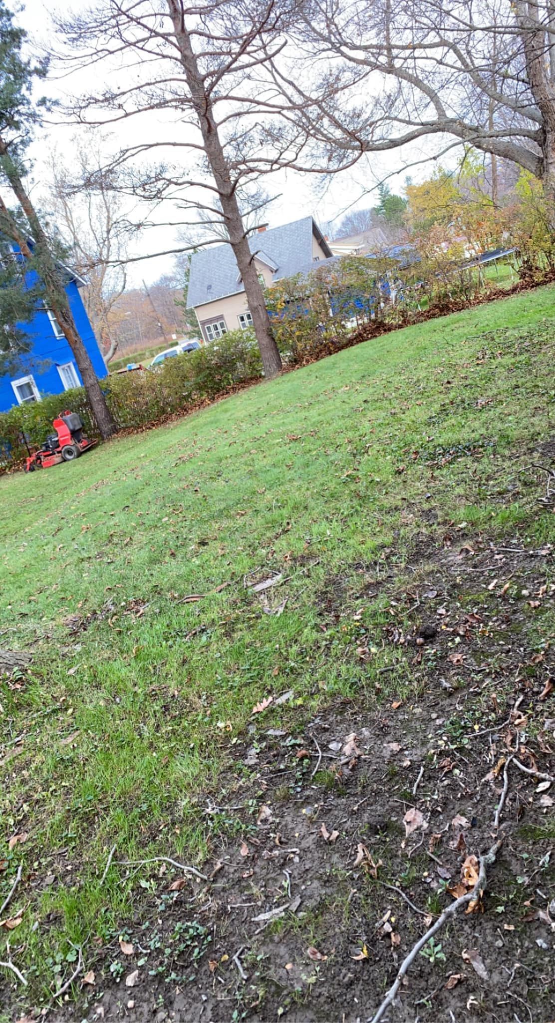 A person is riding a bike on a grassy hill in a park.