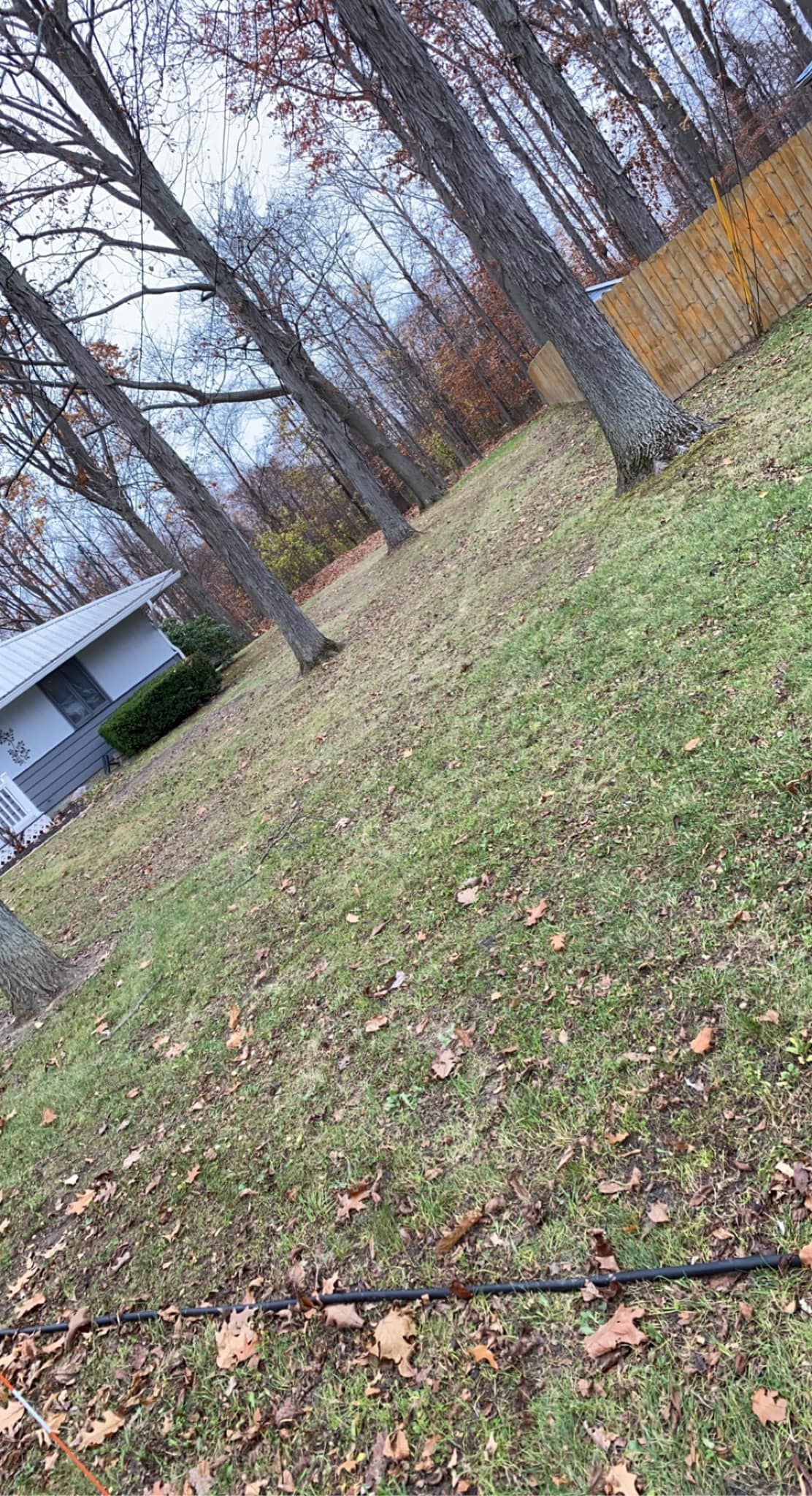 There is a house in the background and a lot of leaves on the ground.