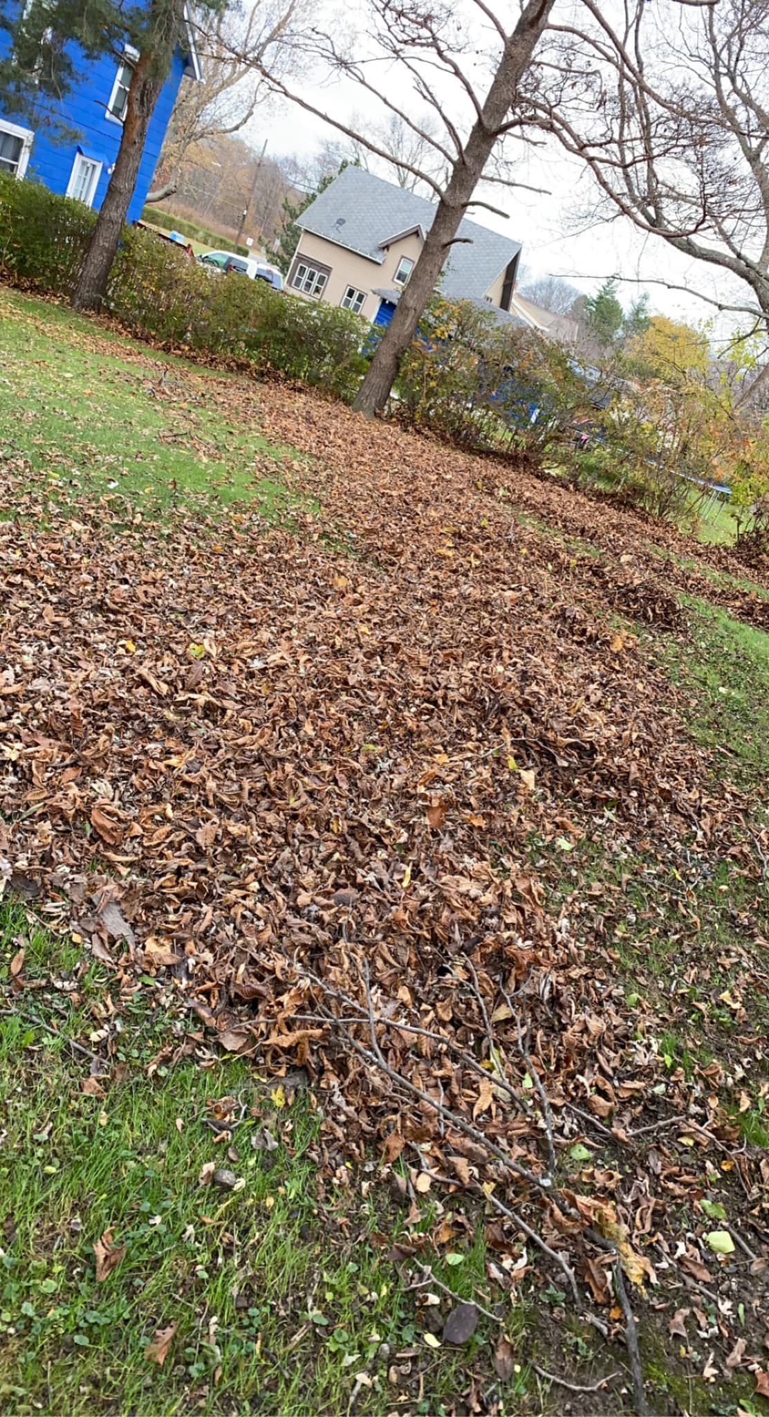 A pile of leaves on the ground in a park.